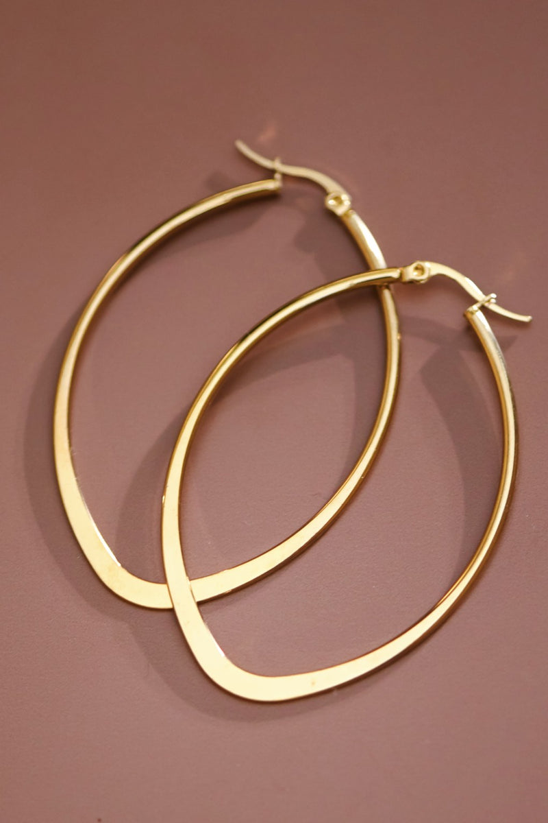Stainless Steel Hoops