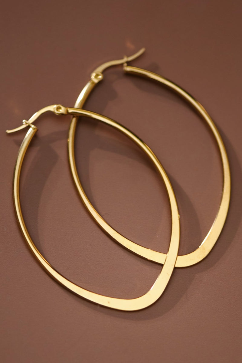 Stainless Steel Hoops